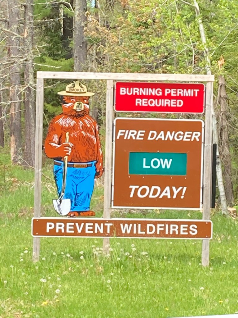 Low Fire Danger